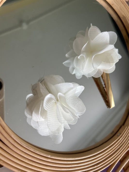 Mini Me Lunaria